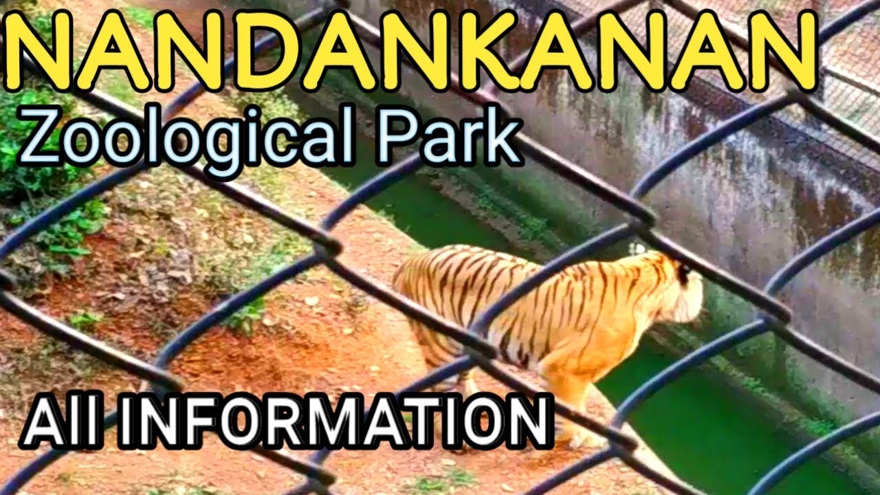 Nandankanan Zoological Park Orissa Bhubaneswar / all information about nandankanan zoo