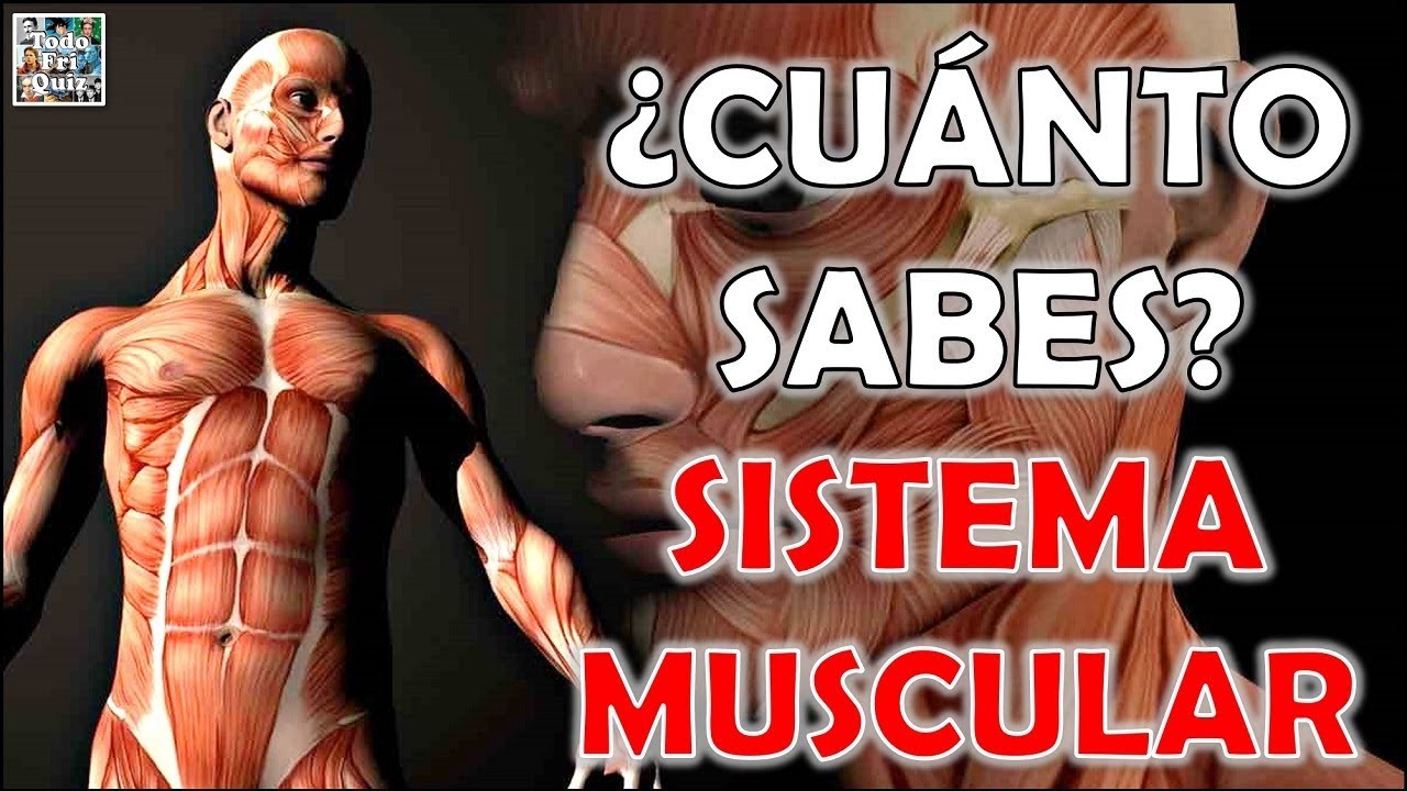 ¿Cuánto Sabes Sobre el 