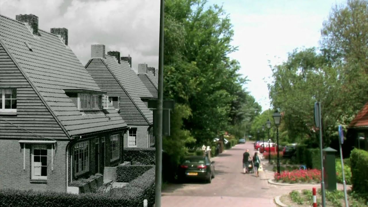 A Walk Through Hoogvliet