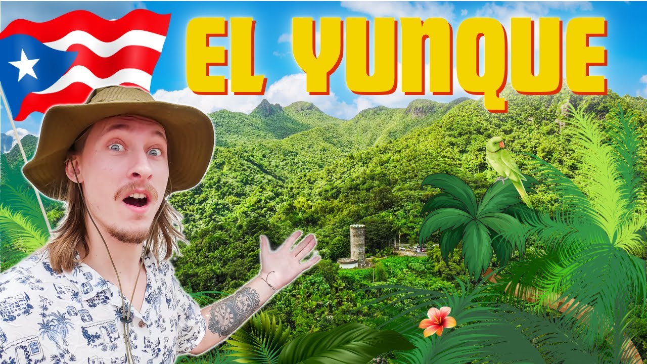 You NEED To Visit This TROPICAL PARADISE!! -  PUERTO RICO TRAVEL VLOG 1