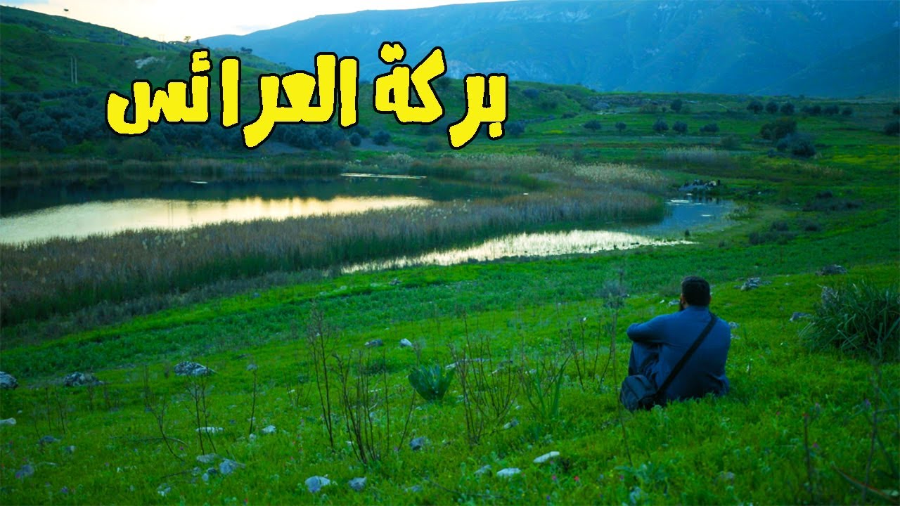 صدق اللي سماها عروس الشمال!