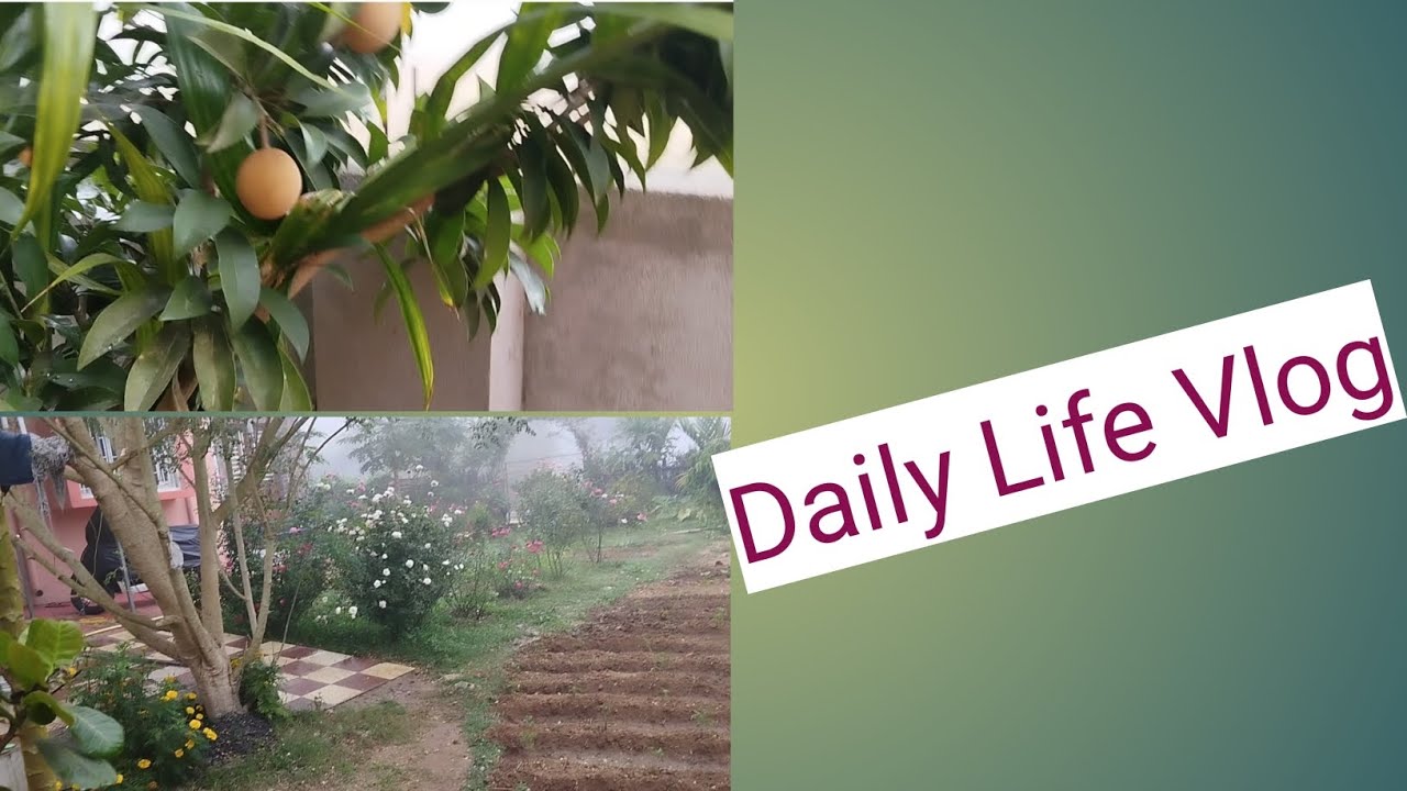 Daily Life Vlog #viral #trending #food #recipe #ytshorts #love #organicgardening #shorts #cooking 
