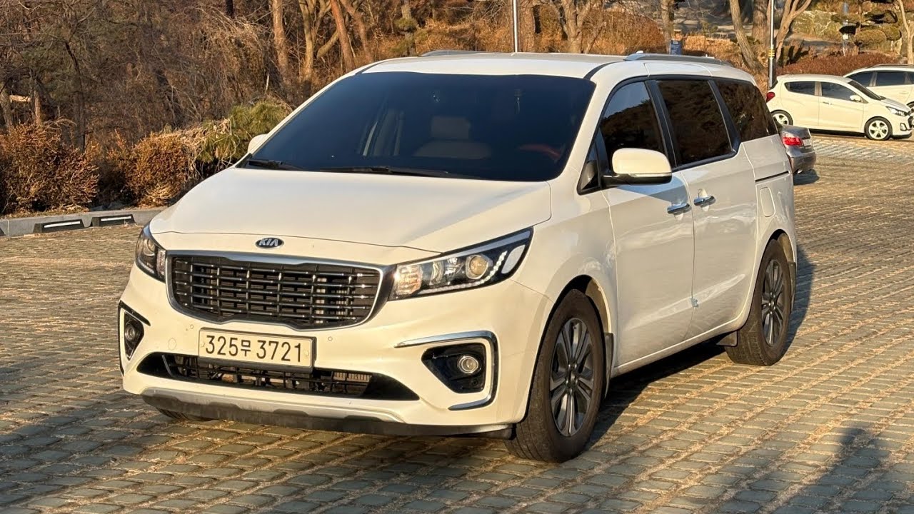 Карнивал 2019 8600$ +8210 3440 4497 wh