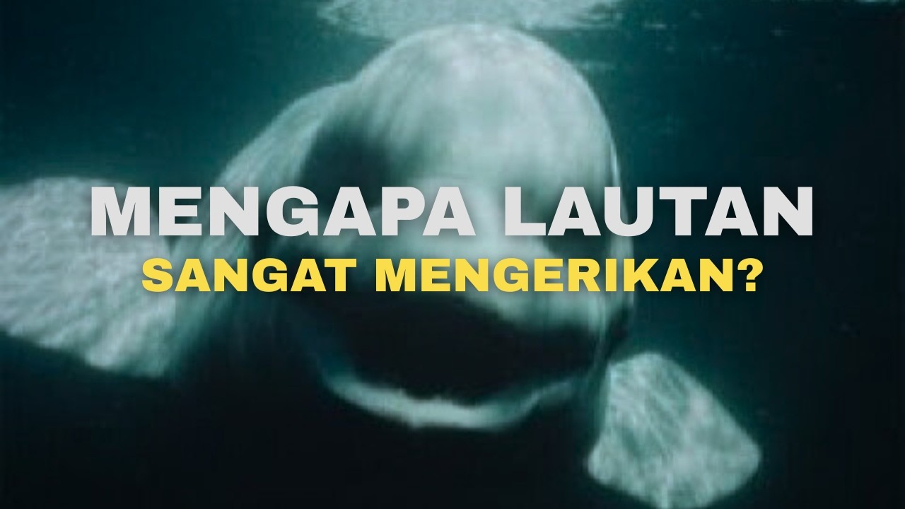 Misteri Lautan : Kenapa Lautan Itu Jauh Lebih Mengerikan Dari Pada Yang Kalian Bayangkan ?