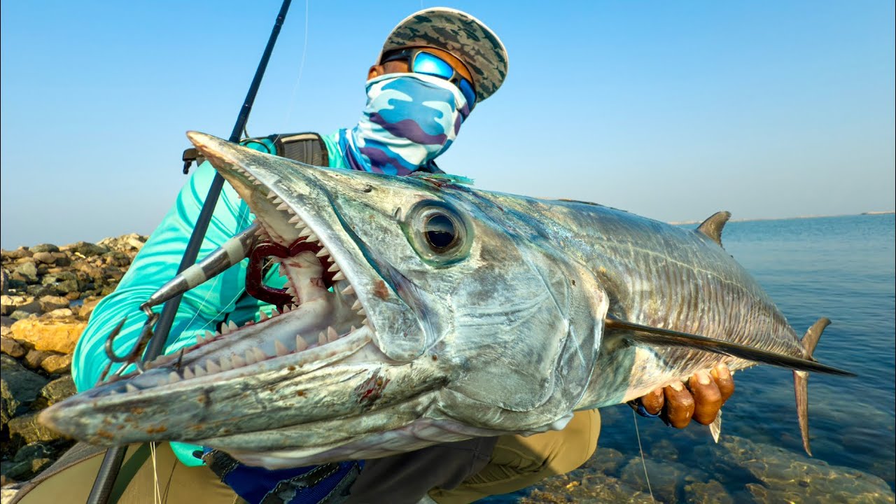 Огромная королевская рыба и бриллиантовый каранкс. Рыбалка в Дубае. #dubaifishing #dubai #kingfish