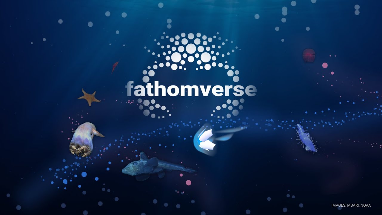 FathomVerse - Official Launch Trailer