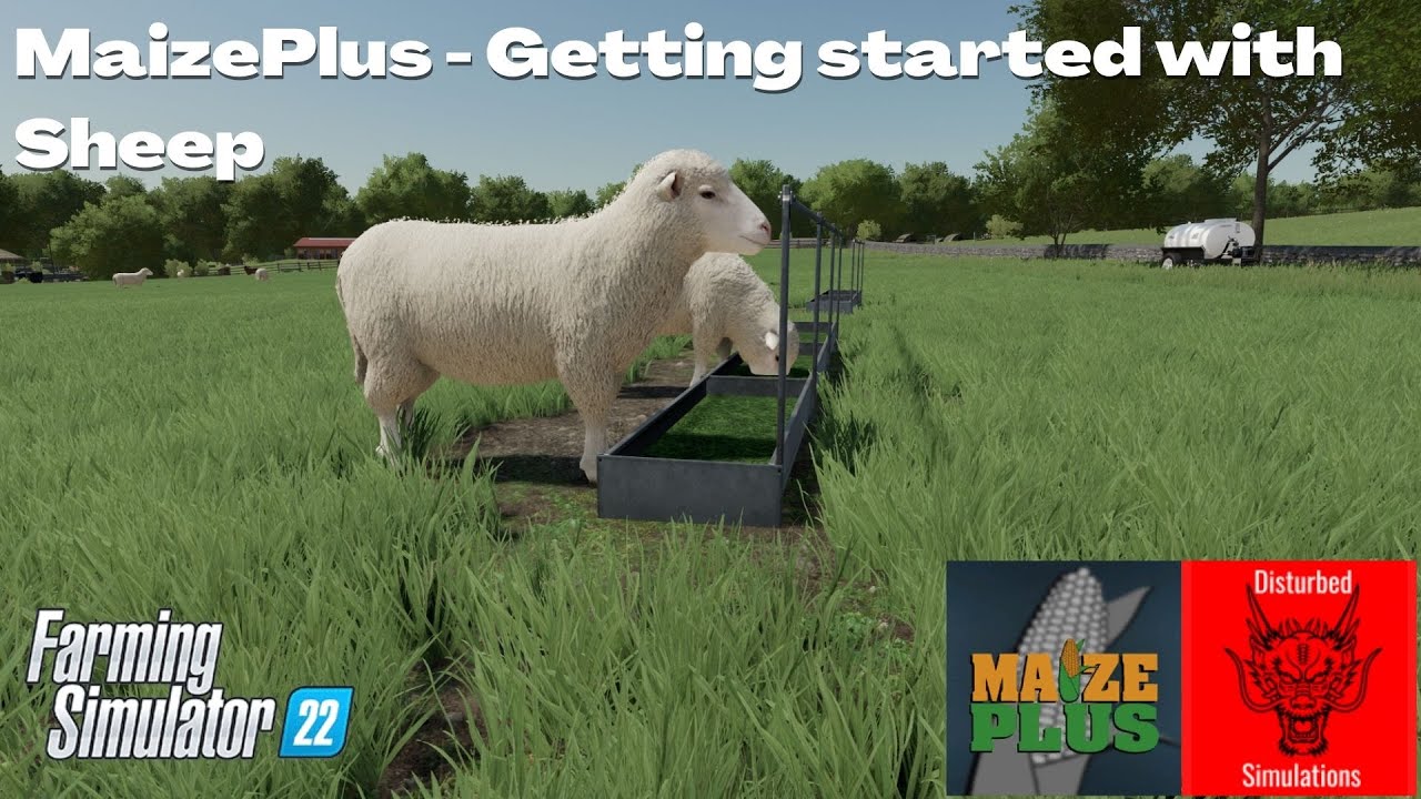 Getting started with Sheep- MaizePlus - FS22