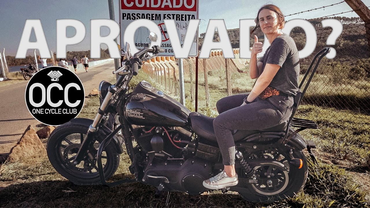 SISSY BAR WINGS CUSTOM para Harley: Opinião da Garupa