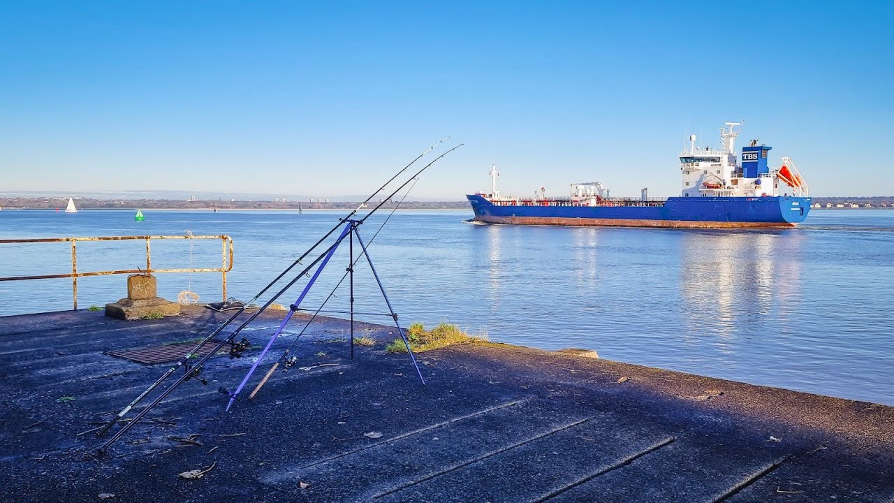 Cod hunt on the River Mersey