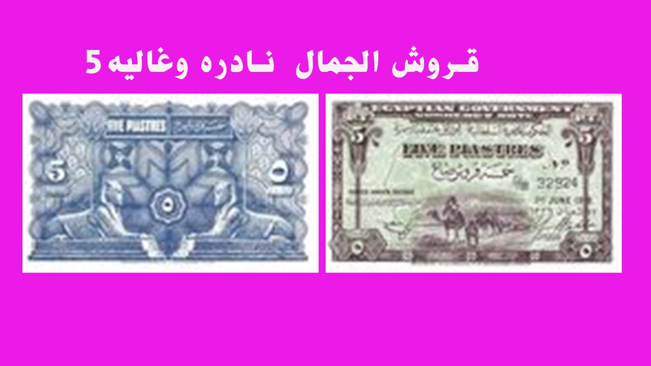 5قروش الجمال  نادره وغاليه