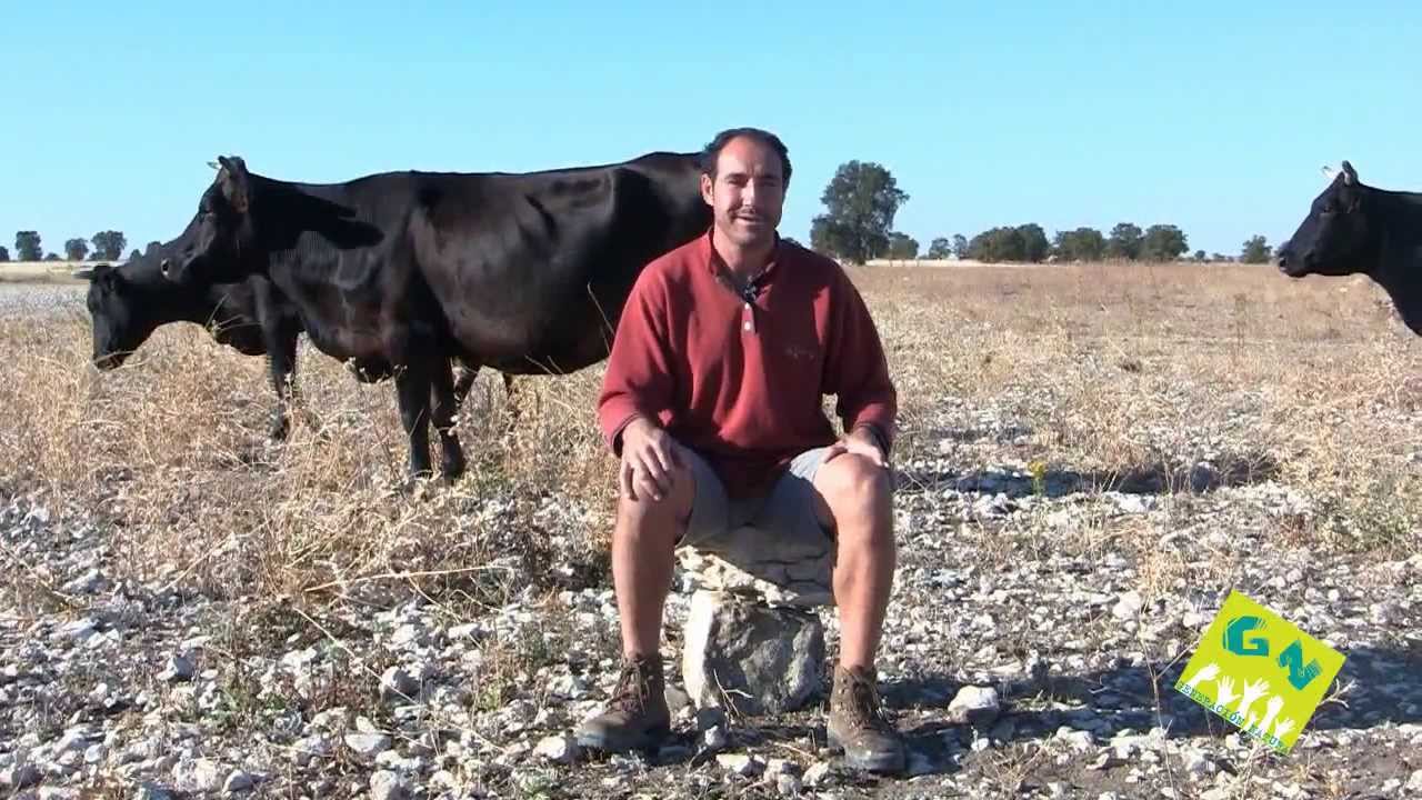 Lácteos ecológicos, quesos y leche orgánica - generacionnatura.org