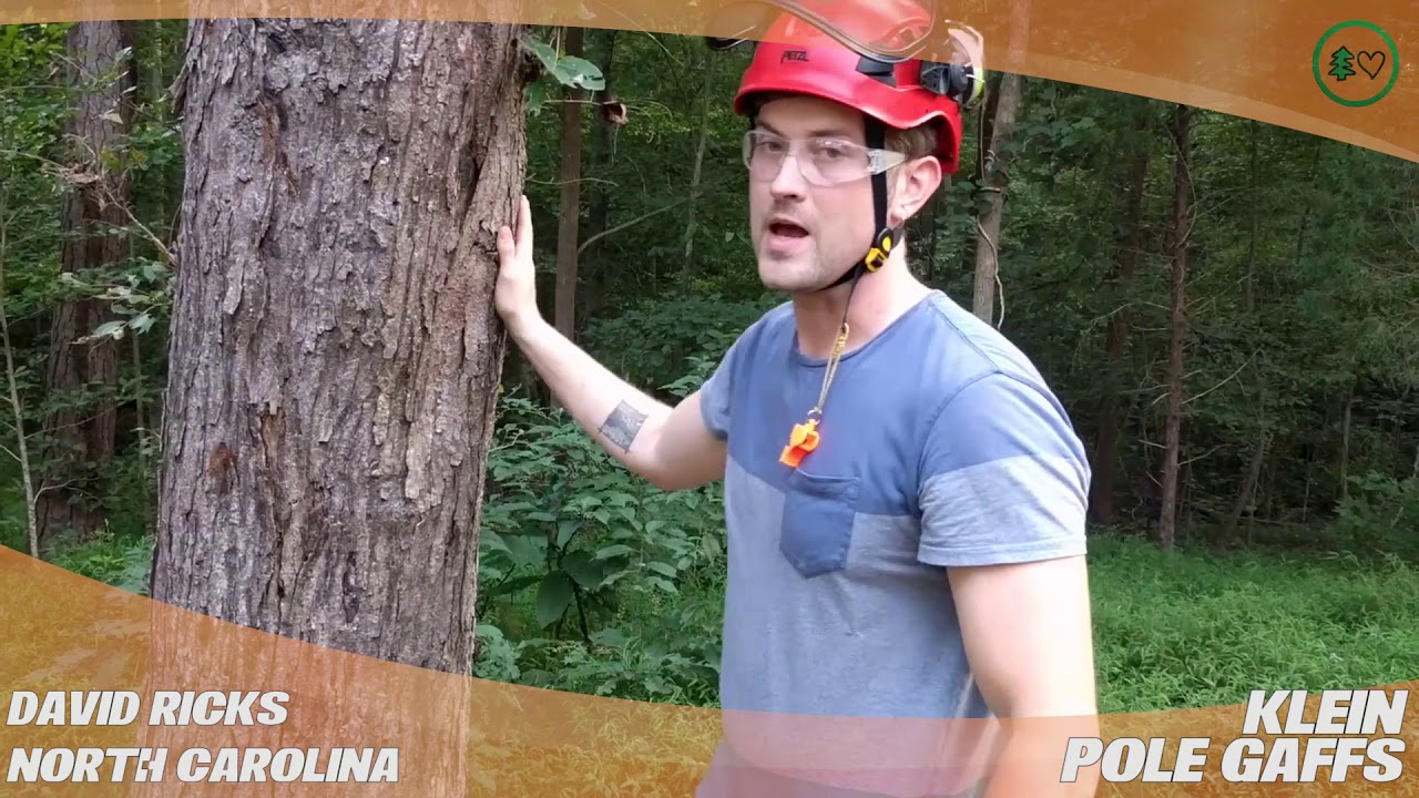 Klein Pole Gaffs - TreeStuff Customer David Ricks' Review In The Field