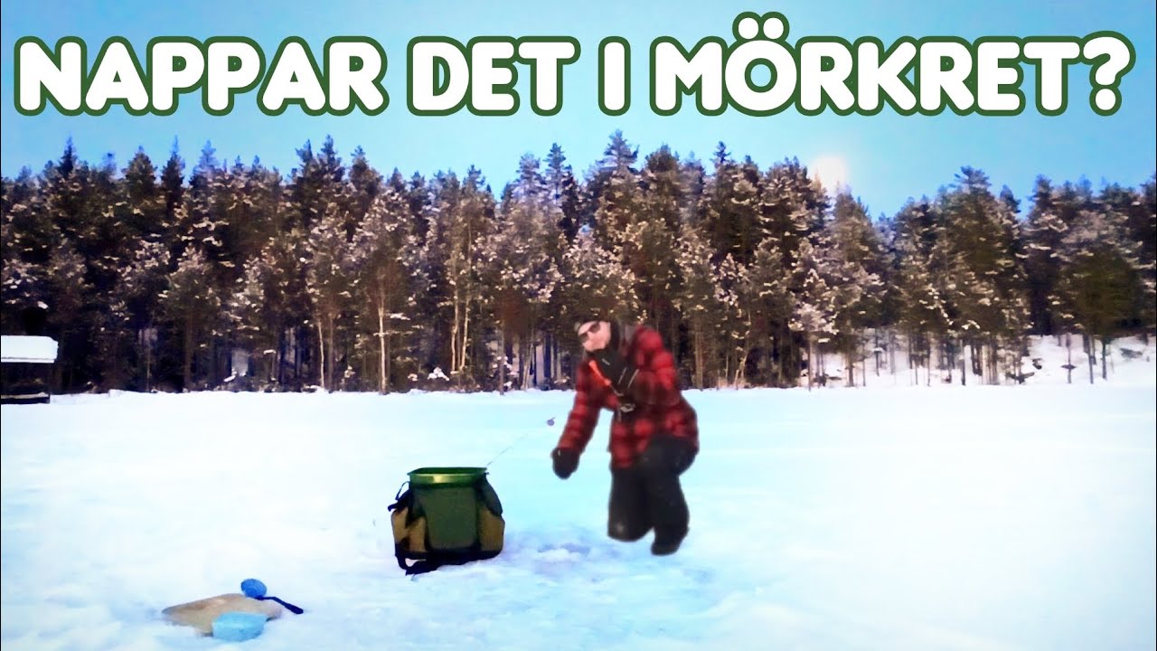 Vinterfiske efter regnbåge - Nappar det i Mörkret?