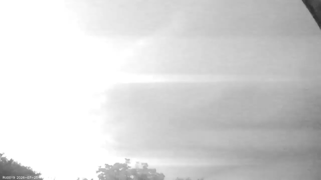 2026-07-26-RU0019-Кочеванчик