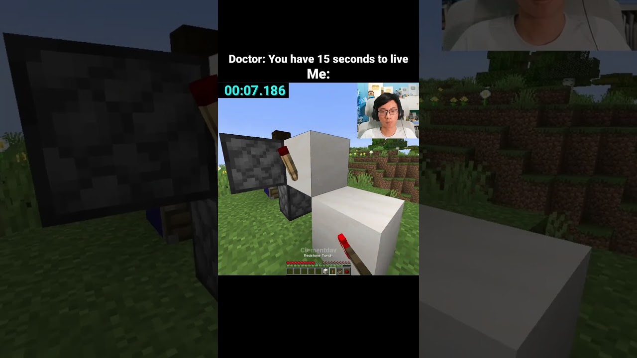 Minecraft Dancing Steve Moment