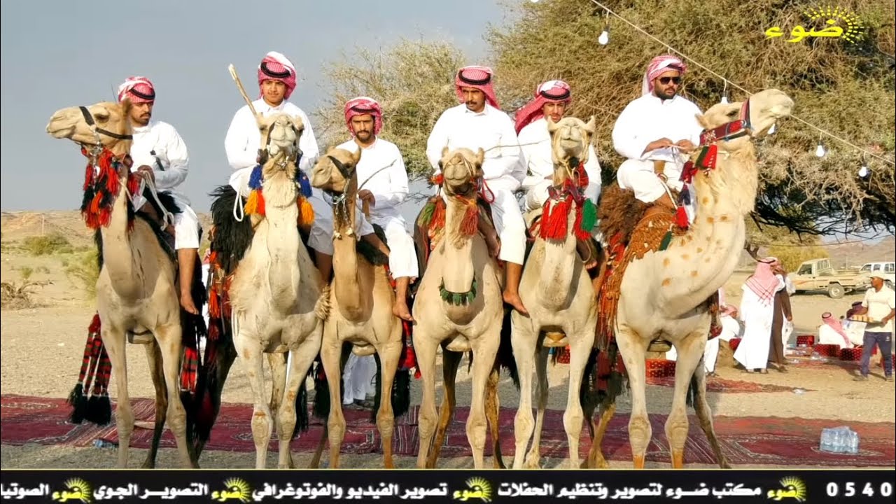 حفل معايدة ::  قبيلة القواعين من بلي  عيد الاضحى  ١٤٤٥ هـ