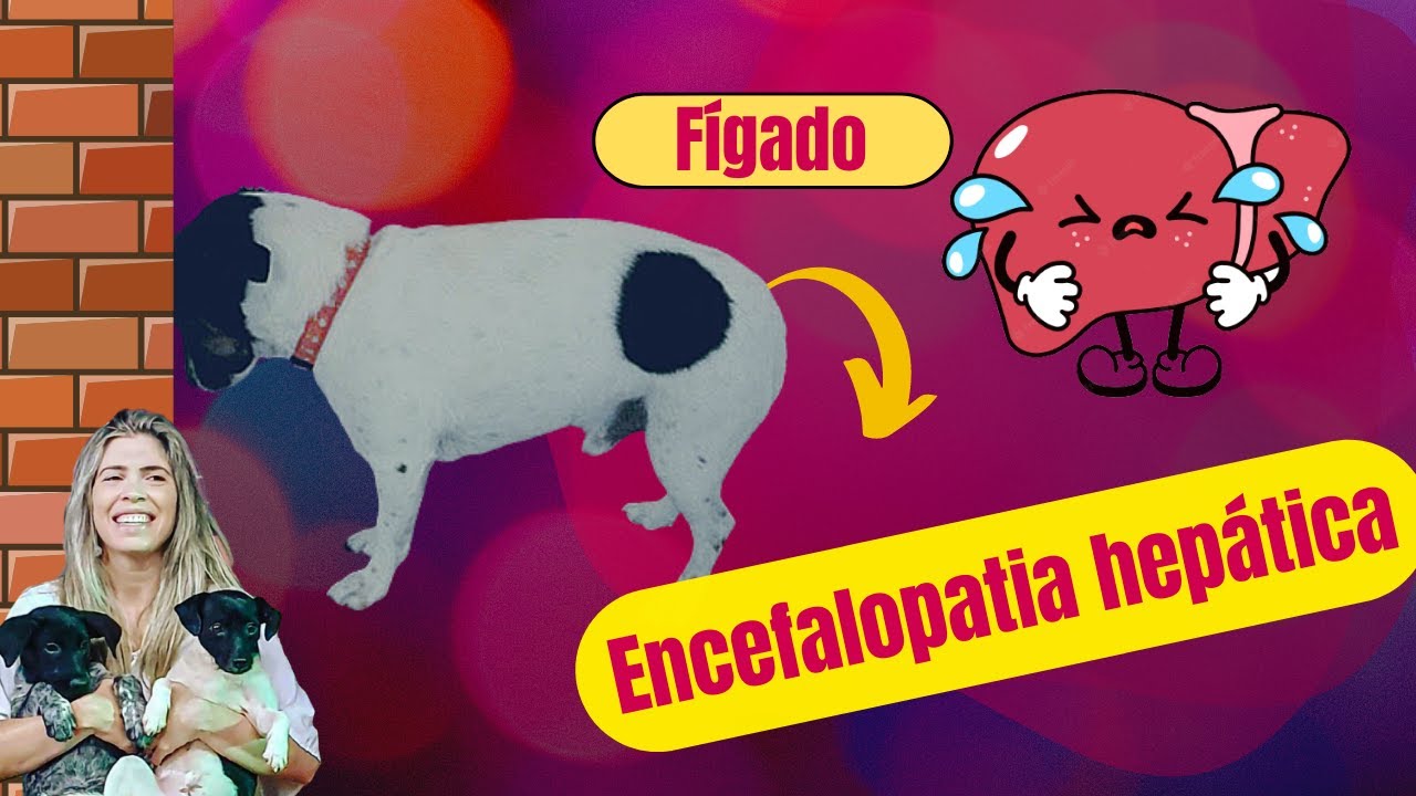 Fígado/Encefalopatia hepática