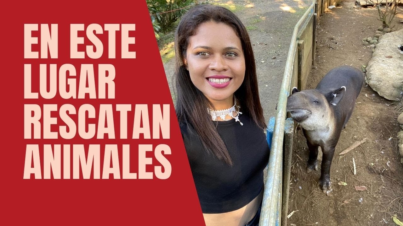 Visitando centro de Rescate animal (Costa Rica)