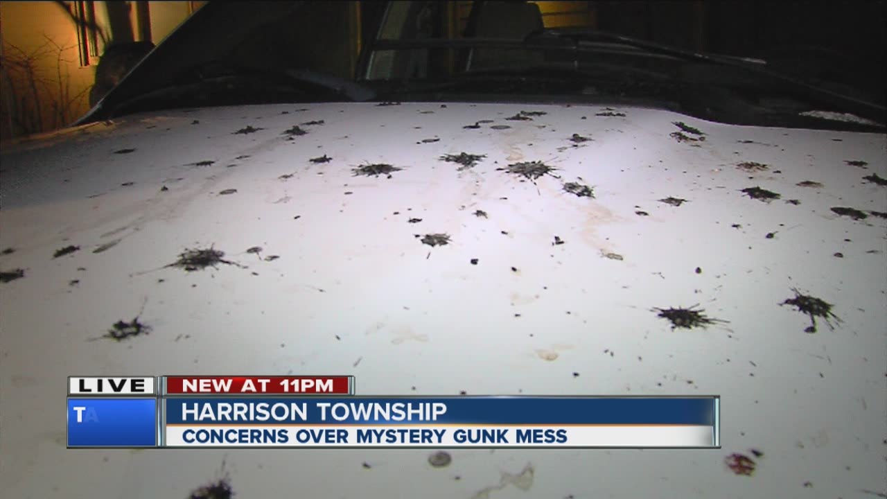 Mystery gunk in Harrison Township