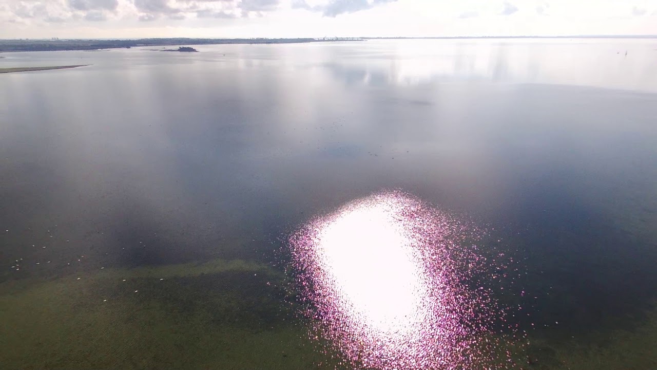 Fehmarn Orth 3