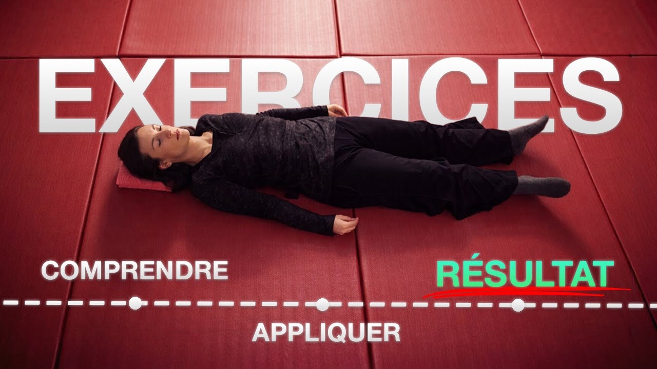 Libérer la force du bassin avec la Méthode Feldenkrais