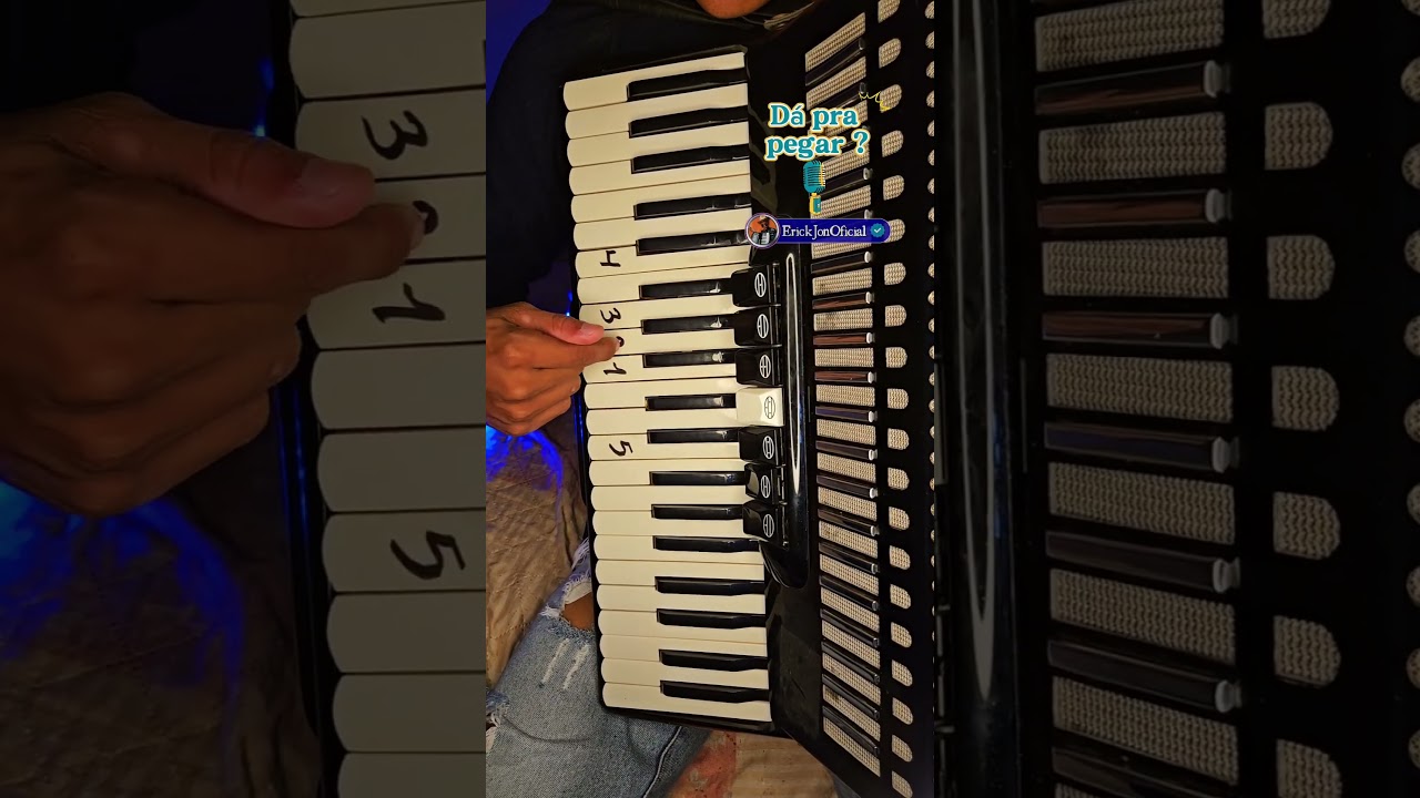 Risca Faca - Modo F&aacute;cil 🎯 #riscafaca #pepemoreno #forr&oacute;dasantigas #forro #acordeon #sanfoneiro #fy