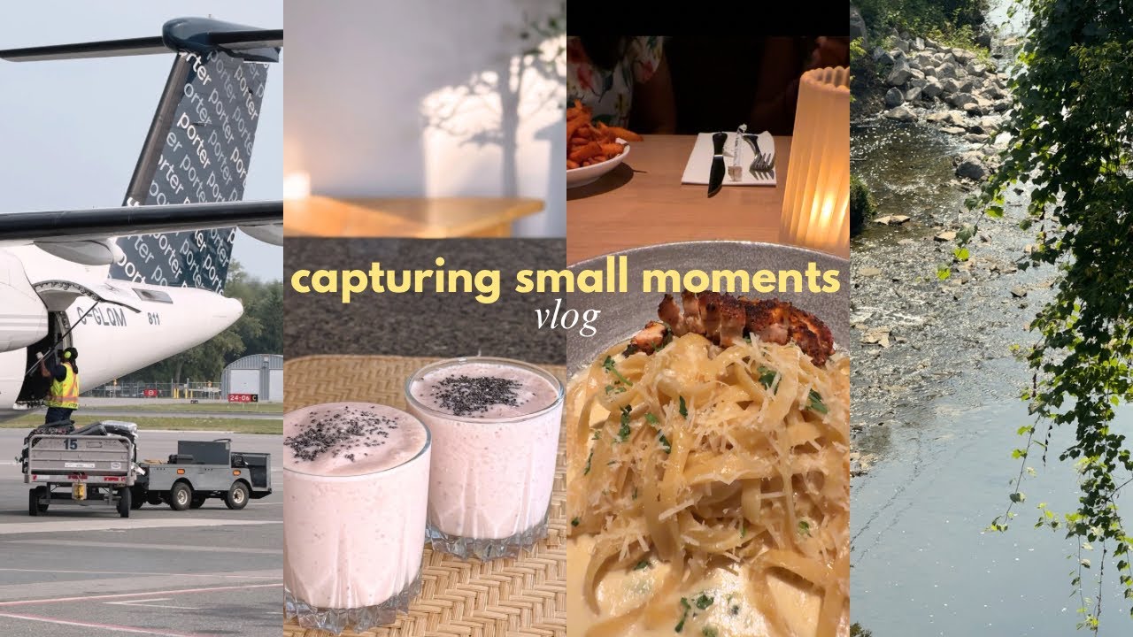 summer is slipping away ~ tibetan vlogger | toronto diaries₊˚ෆ