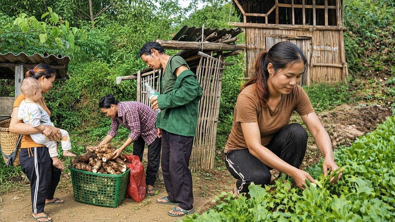 A Single Mother Facing Every Challenge: Working, Harvesting and Creating Food| Trieu Thi Than