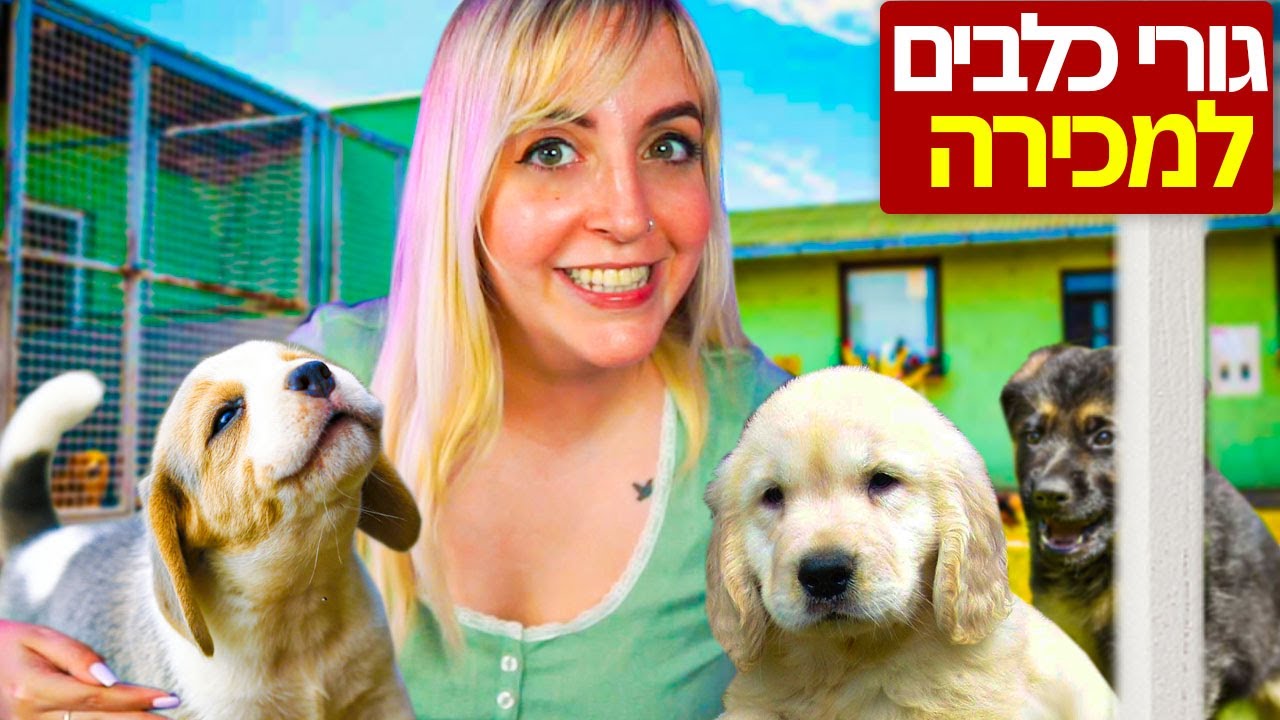 אימצתי מלא גורי כלבים?!