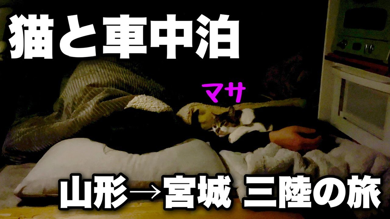 【1泊目】猫のマサと車中泊｜大雪が落ち着いてきたので旅に出ました｜山形県鶴岡市～宮城県東松島市