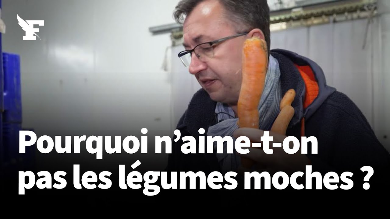 Cet ancien de la grande distribution sauve 30 tonnes de légumes «moches» par jour