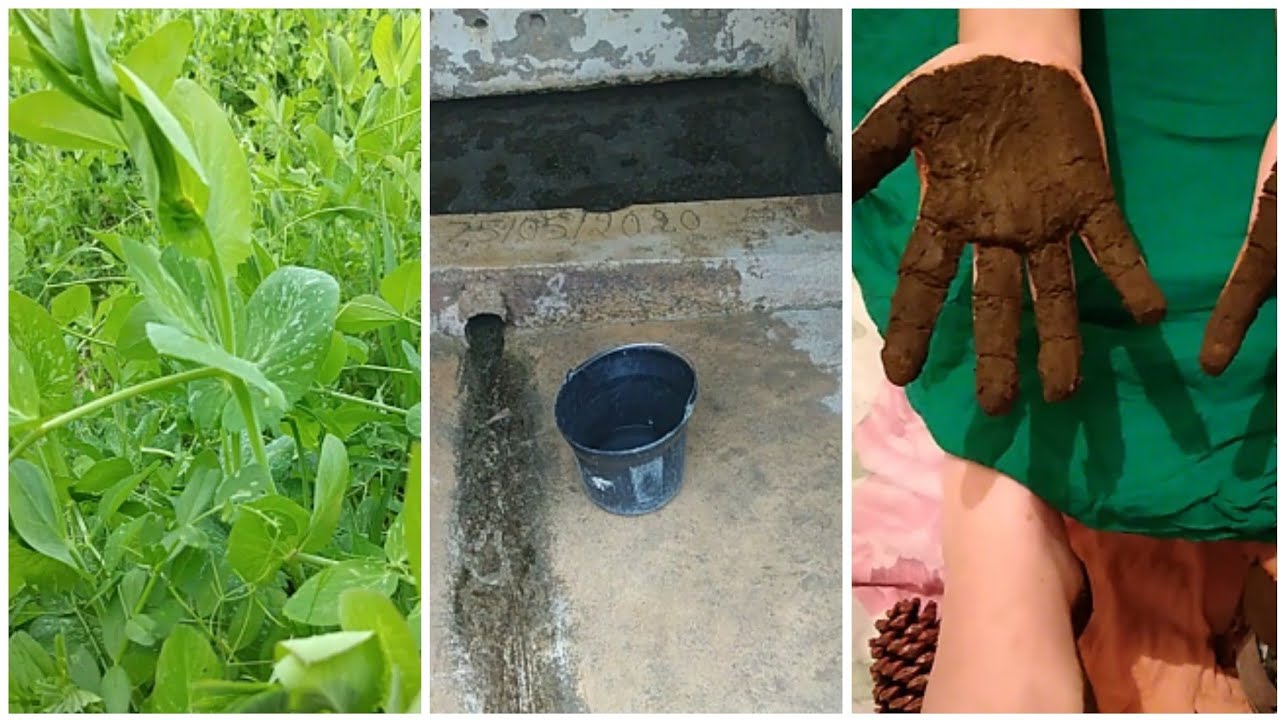 إبتسام وأسية من العين سقاو 👍والغدا الداو 😊وعلى داكشي منواو🤭