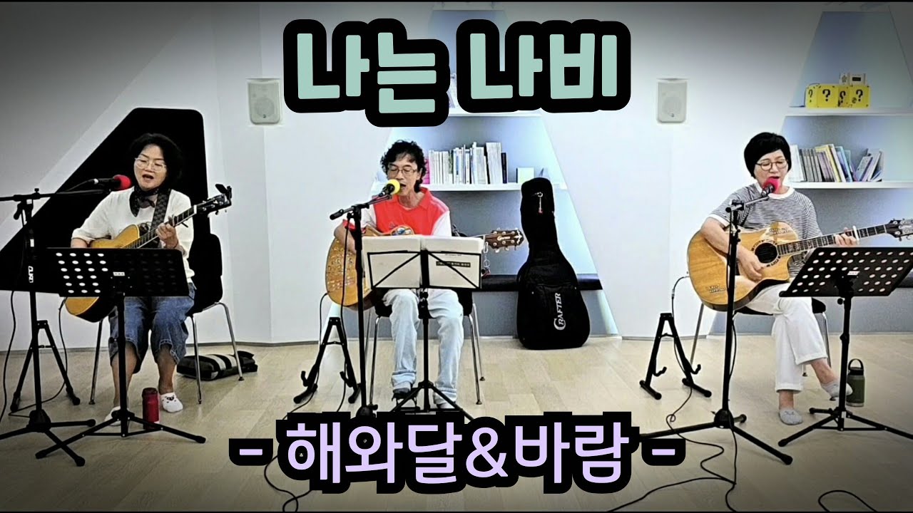 YB (윤도현_밴드) - 나는 나비  #해와달&바람  #혼성트리오  #락_음악  #윤도현  #나는나비