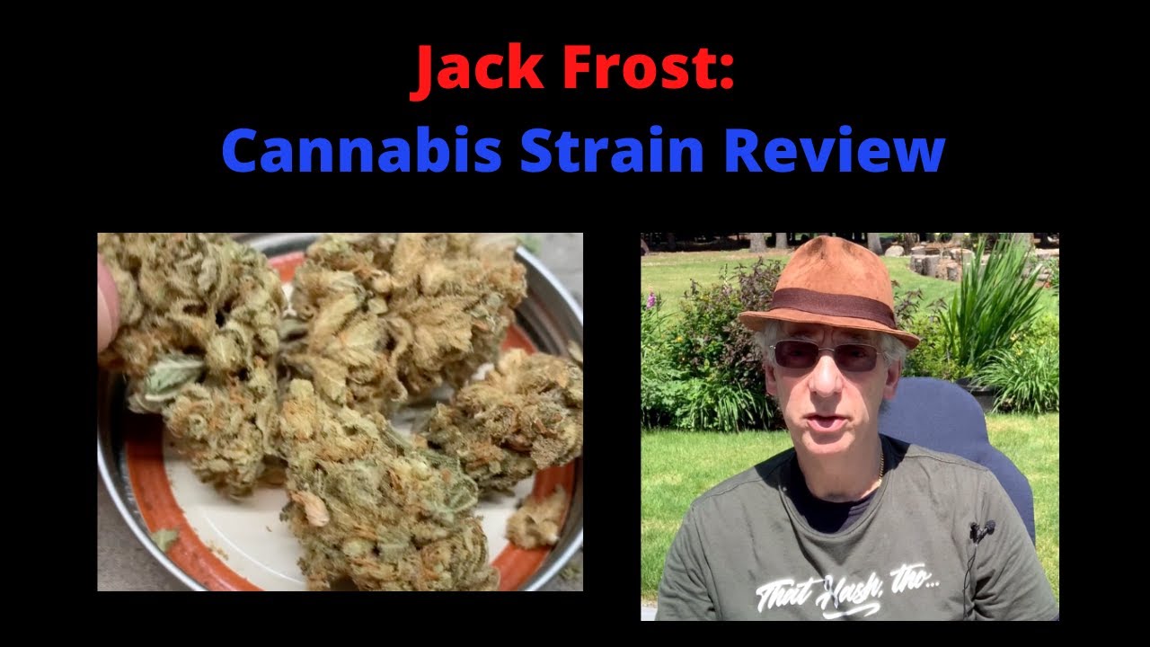 Jack Frost Cannabis Strain Review