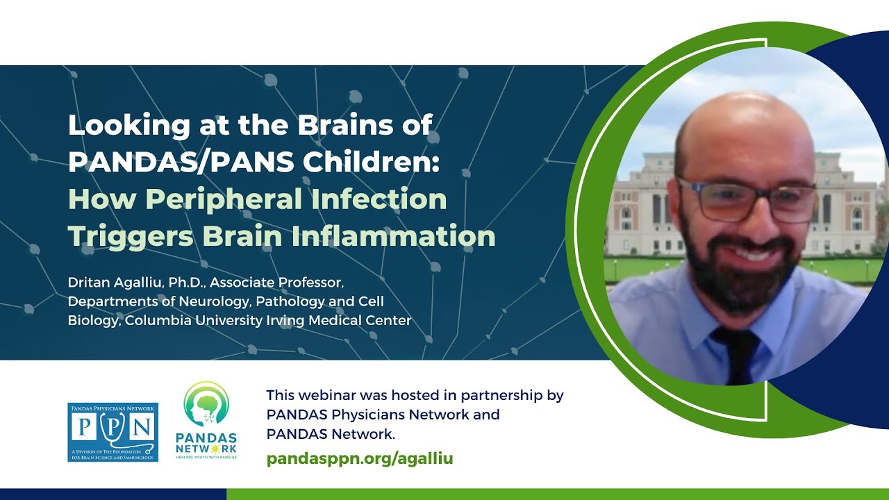 How Peripheral Infection Triggers Brain Inflammation