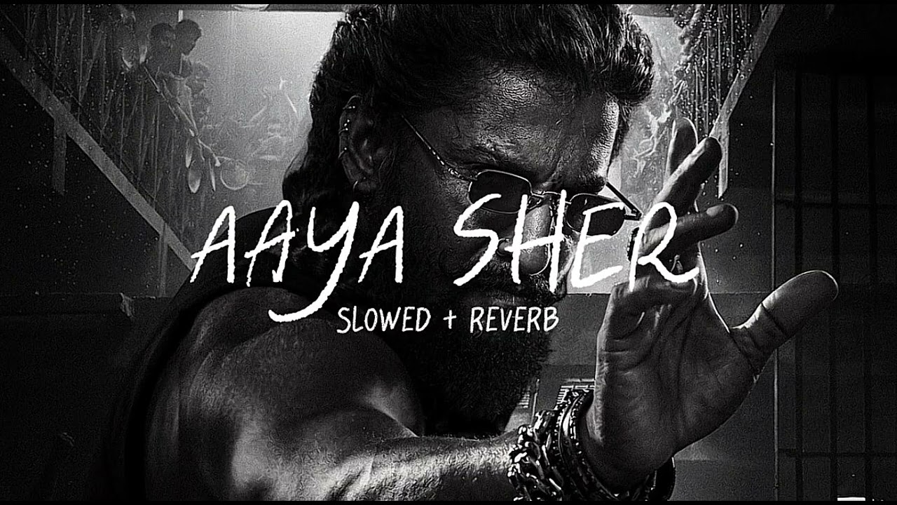 AAYA SHER ~ [ Slowed + Reverb ] | PARADISE