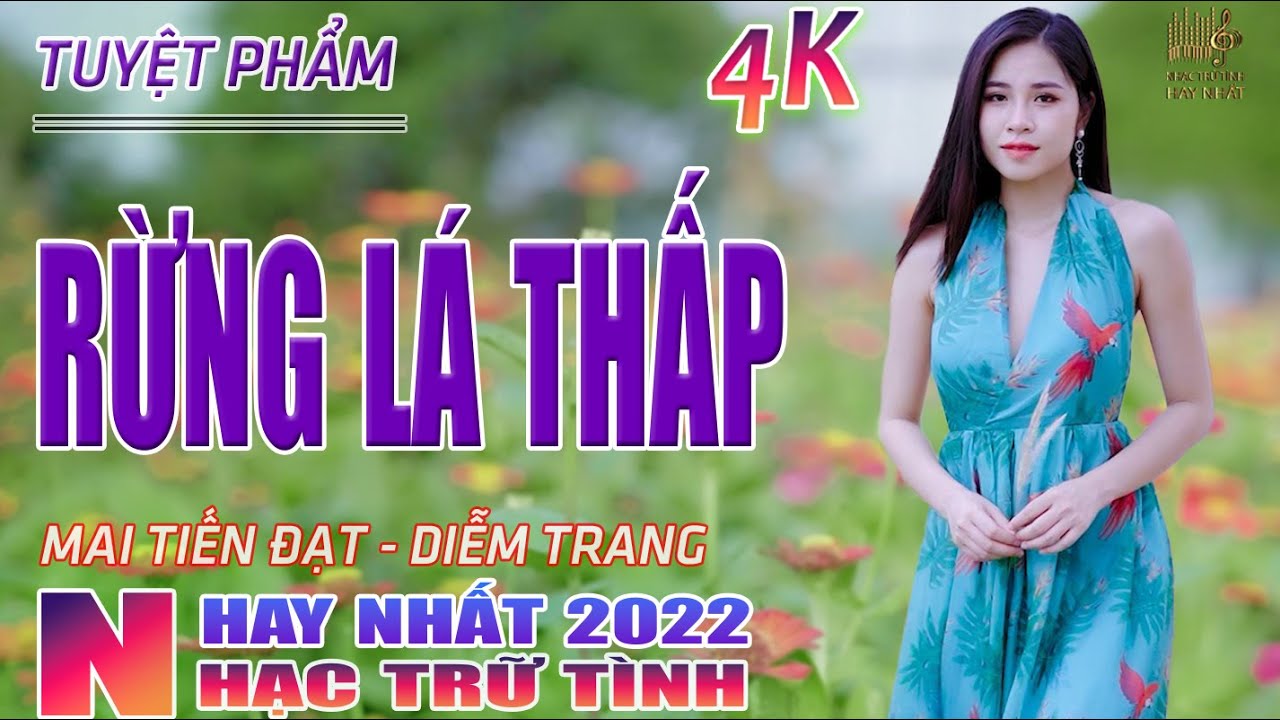 Rừng Lá Thấp, Thành Phố Buồn ♥ Nhạc Trữ Tình Hay Nhất 2022 - Lk Nhạc Vàng Bolero Nhạc Vàng Xưa