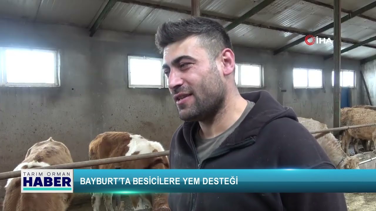 Bayburt’ta besicilere yem desteği