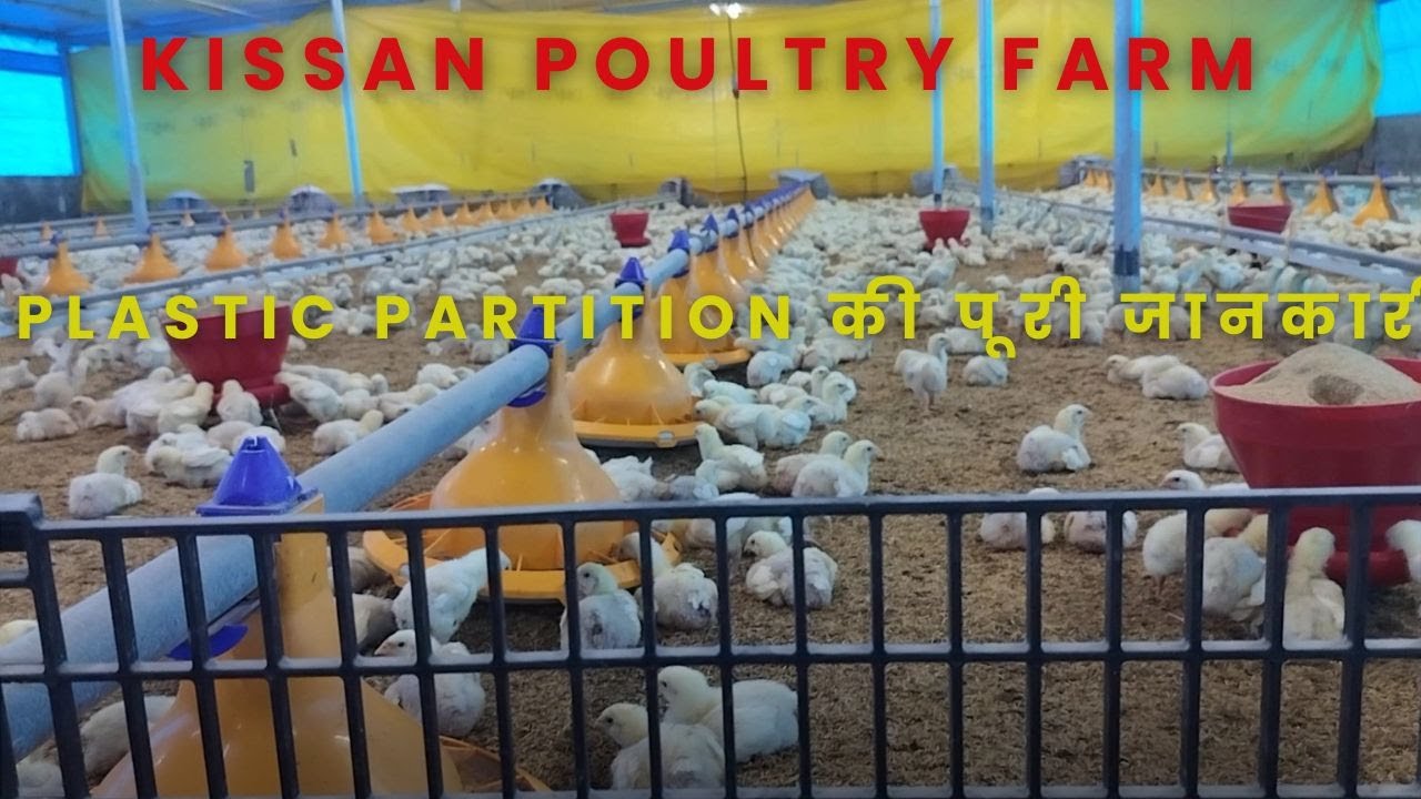 Plastic Partition की पूरी जानकारी