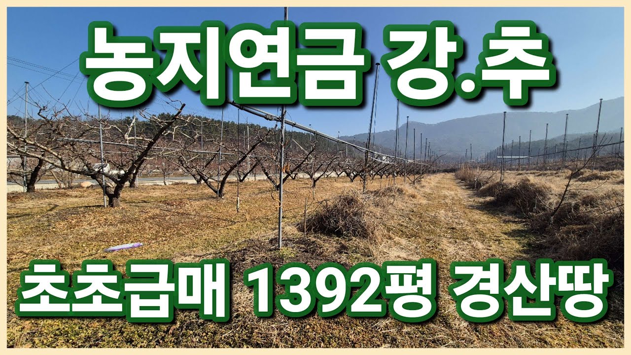 경산시 진량읍 초급매로 나온 1392평 8m 도로 잘 접한 농지연금으로 안성맞춤인 경산토지 경산땅 보러오세요 3138
