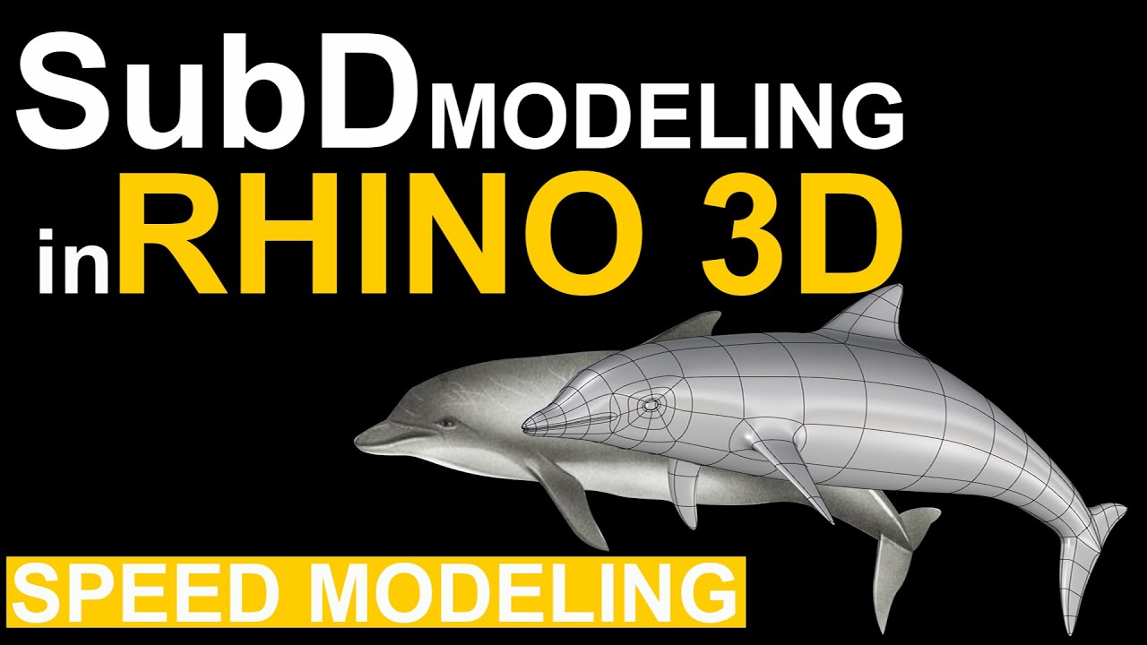 Dolphin Modeling in Rhino 3d