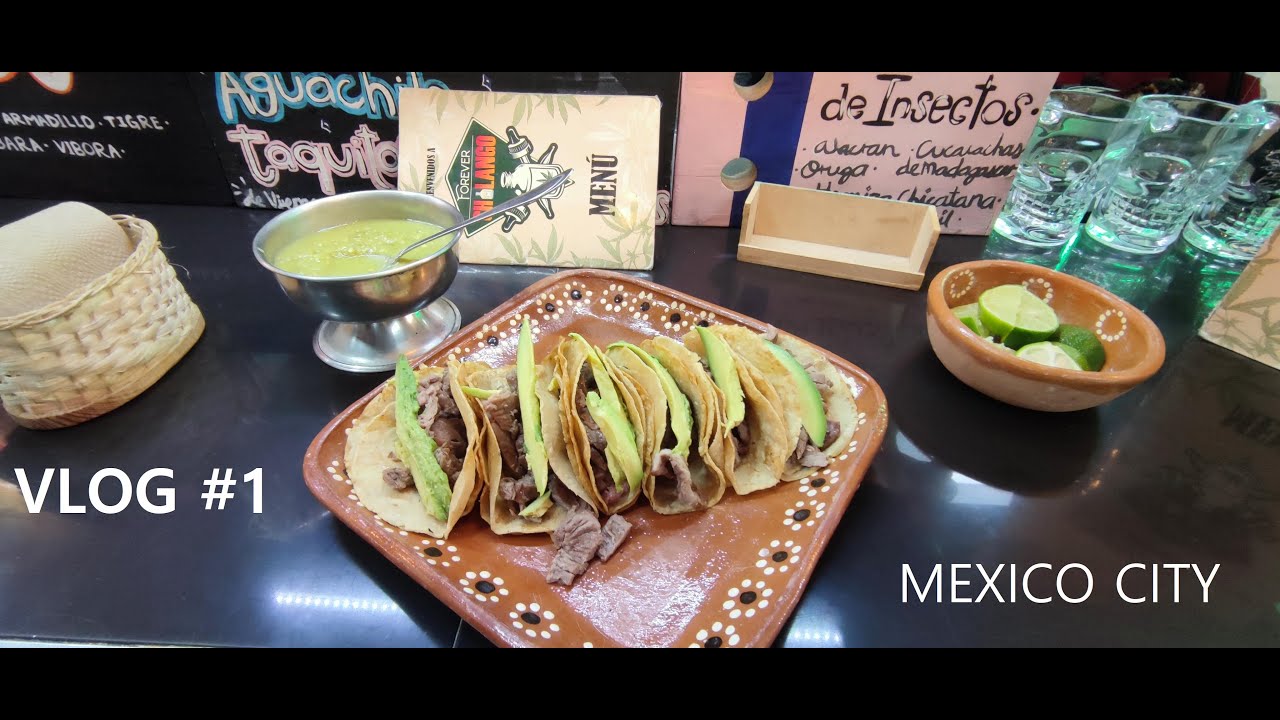 VLOG #1 MEXIQUE: Mexico city et Xochimilco