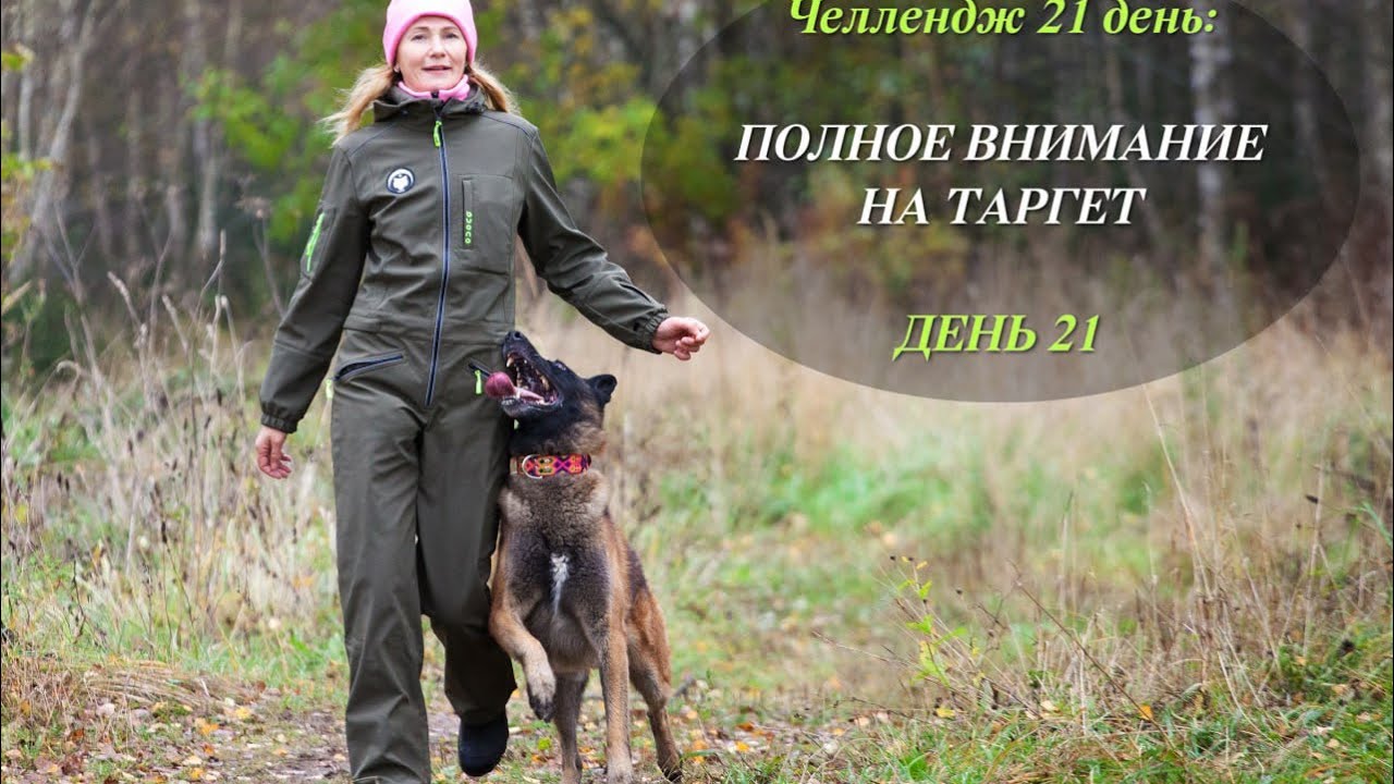 Челлендж «Полное внимание на таргет»День21