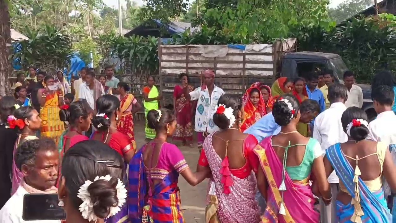 Santhali da bapala dance #asam_disom #folkdance #dance #culture #bapla #love