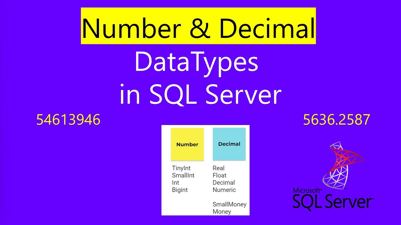Datatype | Number Datatype In Sql | number datatype in sql