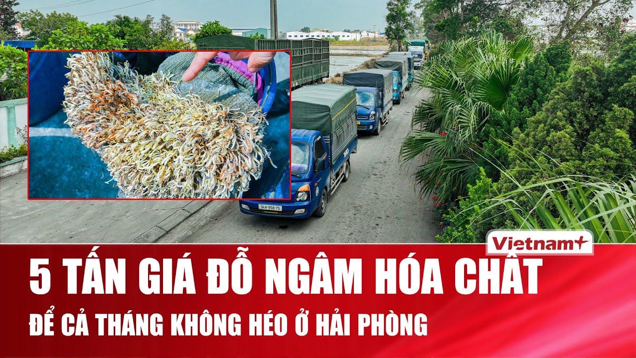 Kinh hoàng hơn 5 tấn giá đỗ ngâm 