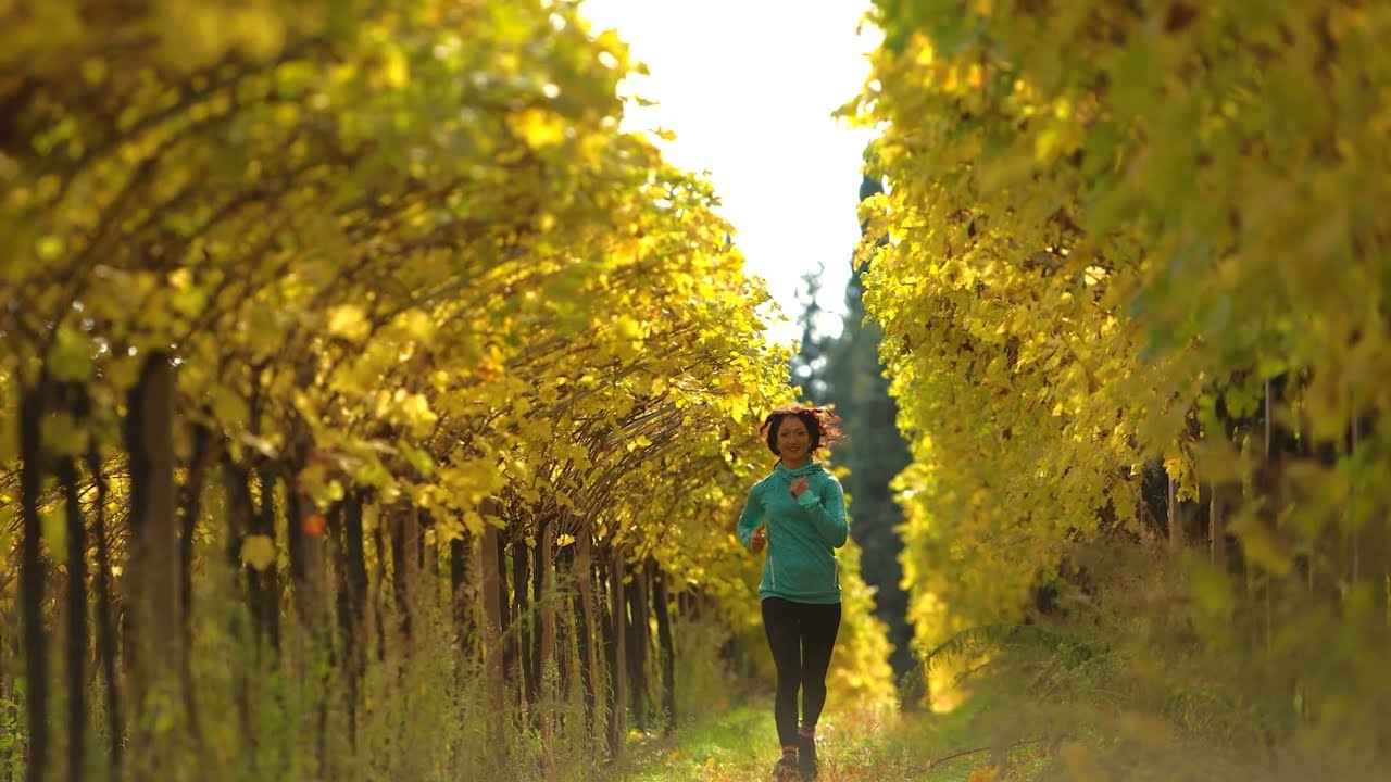 VALPOLICELLA ENOTOURISM