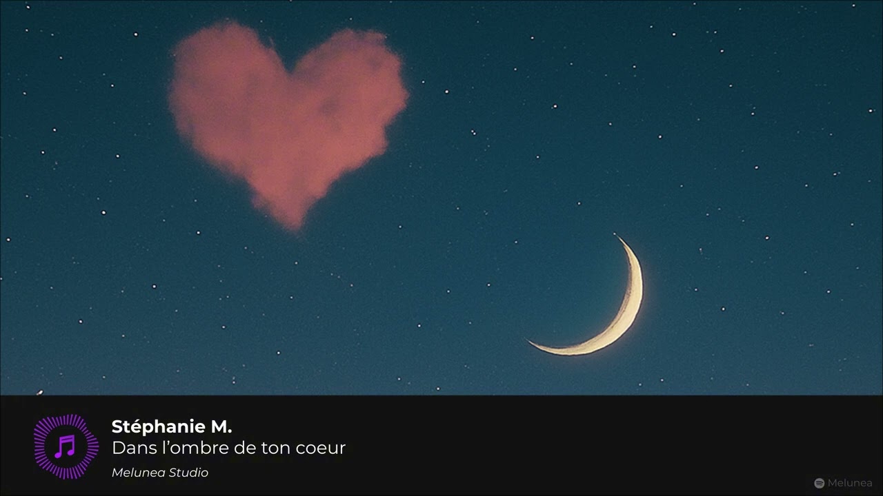 Dans l'ombre de ton coeur - St&eacute;phanie M. | Melunea