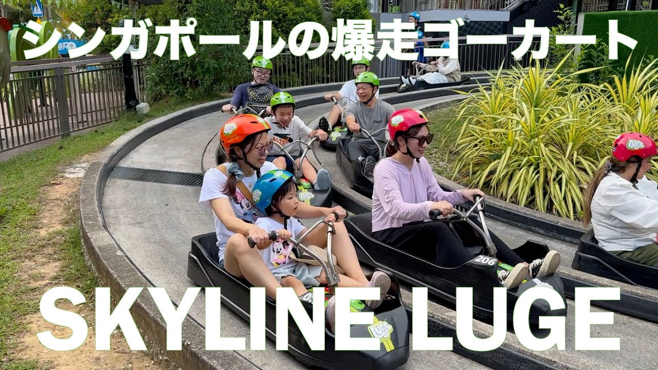 【シンガポール旅行】シンガポールに来たら絶対乗りたい！スカイライン リュージュ♪