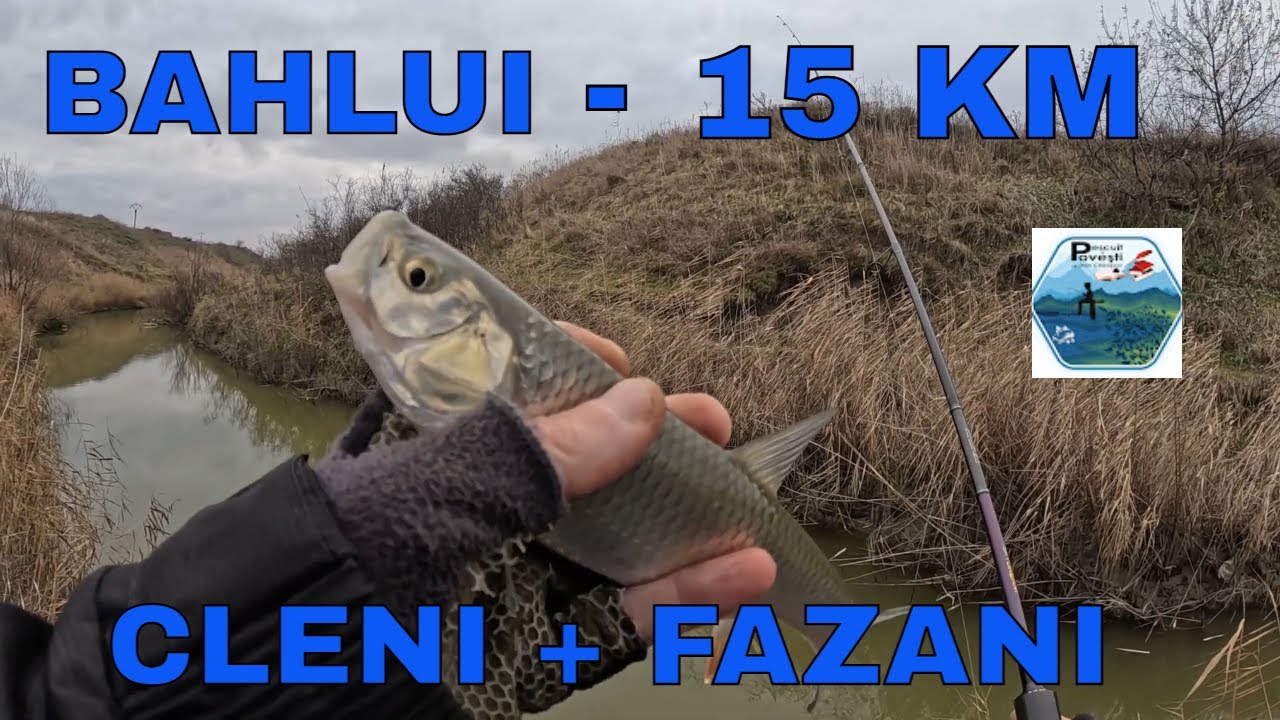 Spinning pe Bahlui, o partidă super grea,  15 kilometri parcurși, cleni + fazani